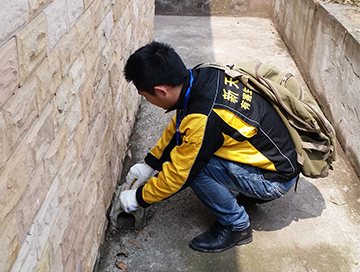 維護(hù)毒餌站 維護(hù)毒餌站